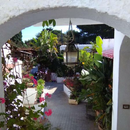 Le Case Di Vito Favignana Exterior photo